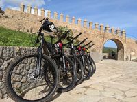 Premium Mountain Bike Rental Cala Millor