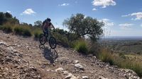 Mountainbike Touren auf Mallorca für MTB-Einsteiger